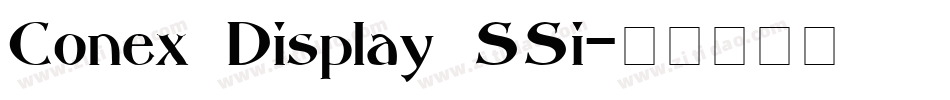 Conex Display SSi字体转换